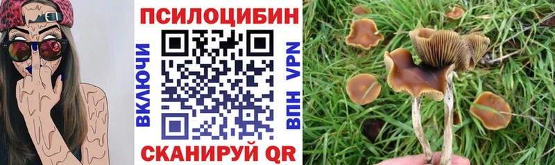 цена   Бронницы  Псилоцибиновые грибы прущие грибы 